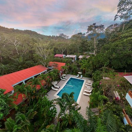 Villa Lu Amazon Ecolodge Tarapoto Eksteriør billede