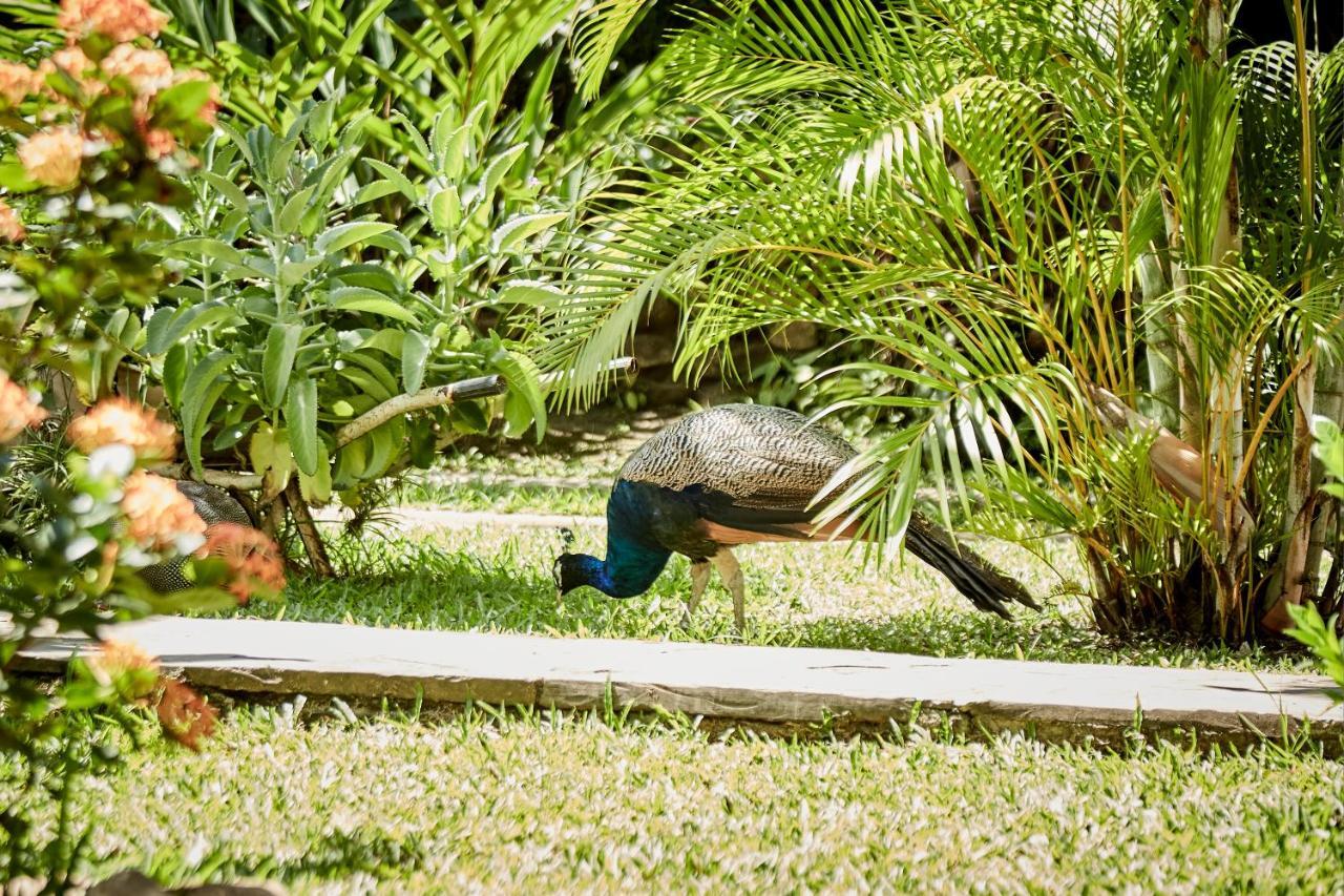Villa Lu Amazon Ecolodge Tarapoto Eksteriør billede