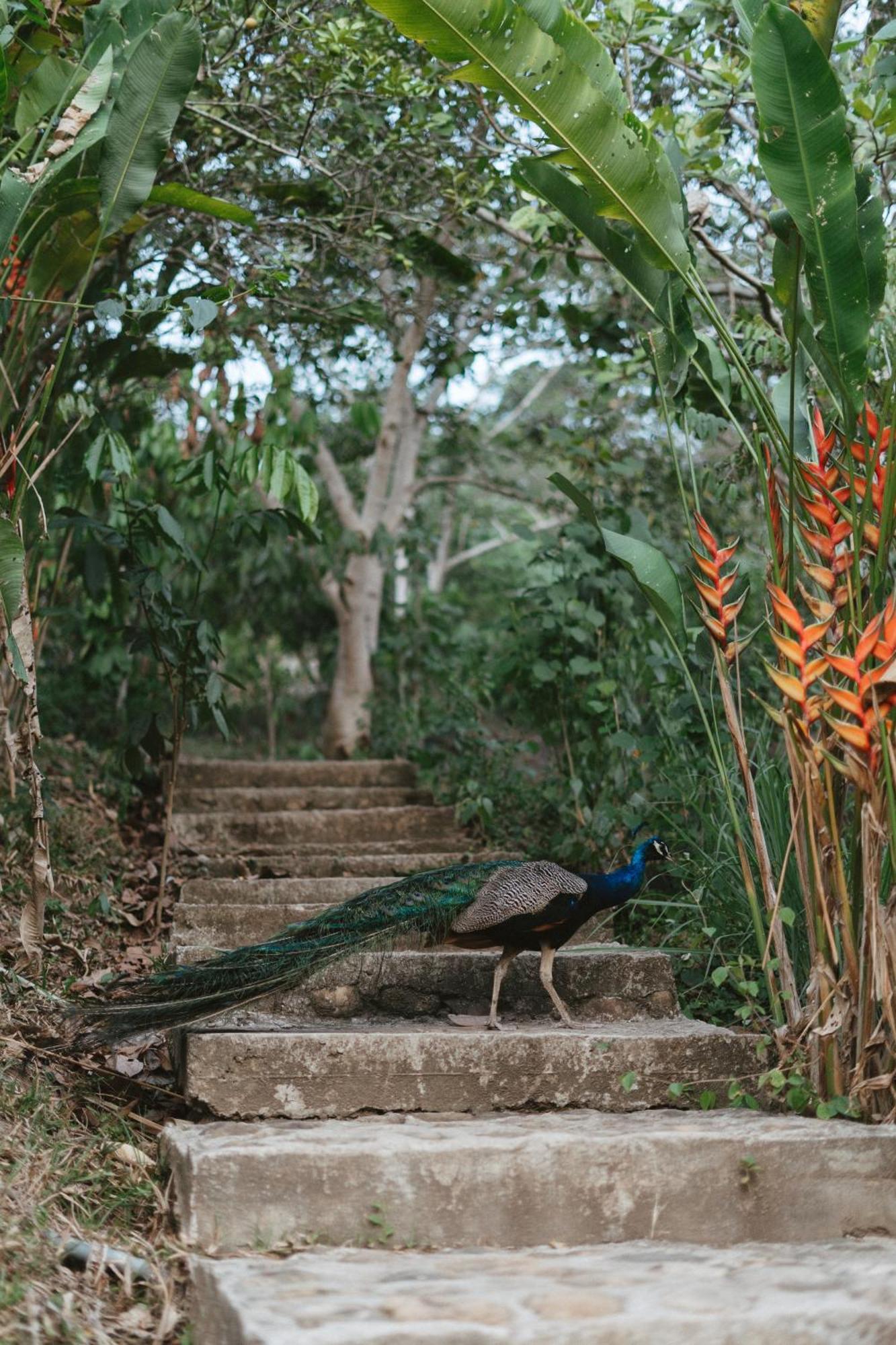 Villa Lu Amazon Ecolodge Tarapoto Eksteriør billede